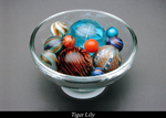 Tiger Lily ·  Mark Matthews